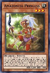 Amazoness Princess