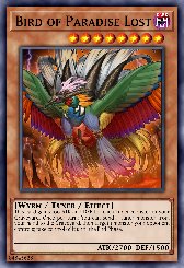 Bird of Paradise Lost