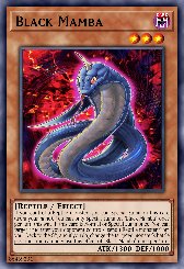 Black Mamba