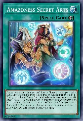 Amazoness Secret Arts