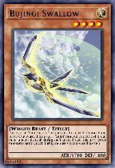 Bujingi Swallow