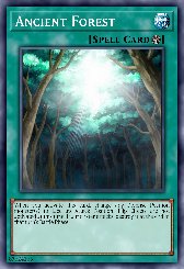 Ancient Forest