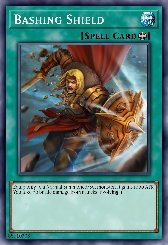 Bashing Shield