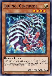 Bujingi Centipede