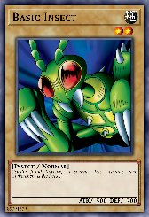 Basic Insect