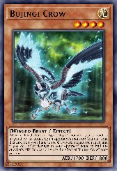 Bujingi Crow