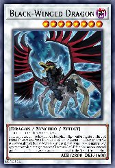 Black-Winged Dragon