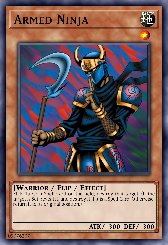 Armed Ninja