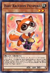 Baby Raccoon Ponpoko