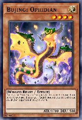 Bujingi Ophidian