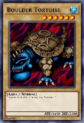 Boulder Tortoise