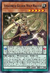 Amazoness Golden Whip Master