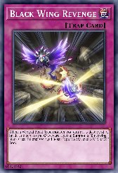 Black Wing Revenge